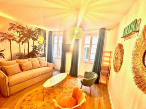 Les Appartements de Nana 2 - T2 Hypercentre, Rue Meynadier, Palais & Plage, clim, wifi